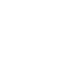 Tipo 1