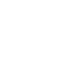 Tipo 10